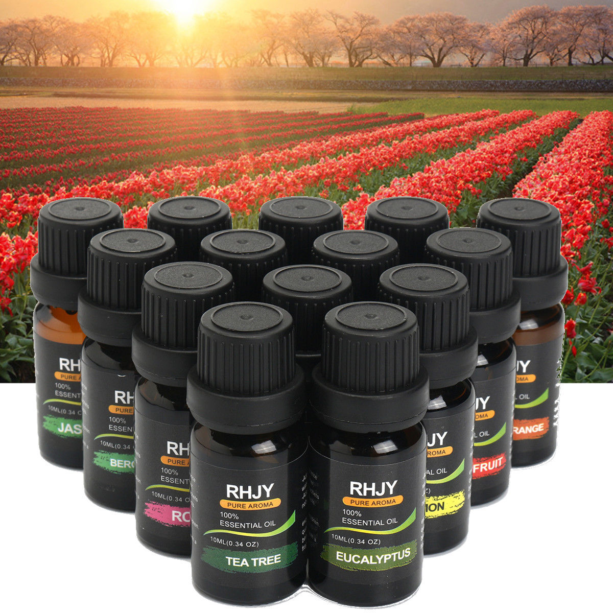 Aromatherapy Essential Oil Collection | 14 Blends Set